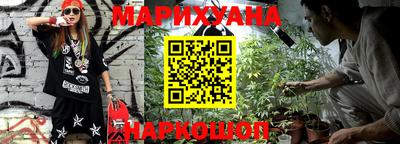 тгк Бийск