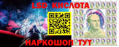 тгк Бийск
