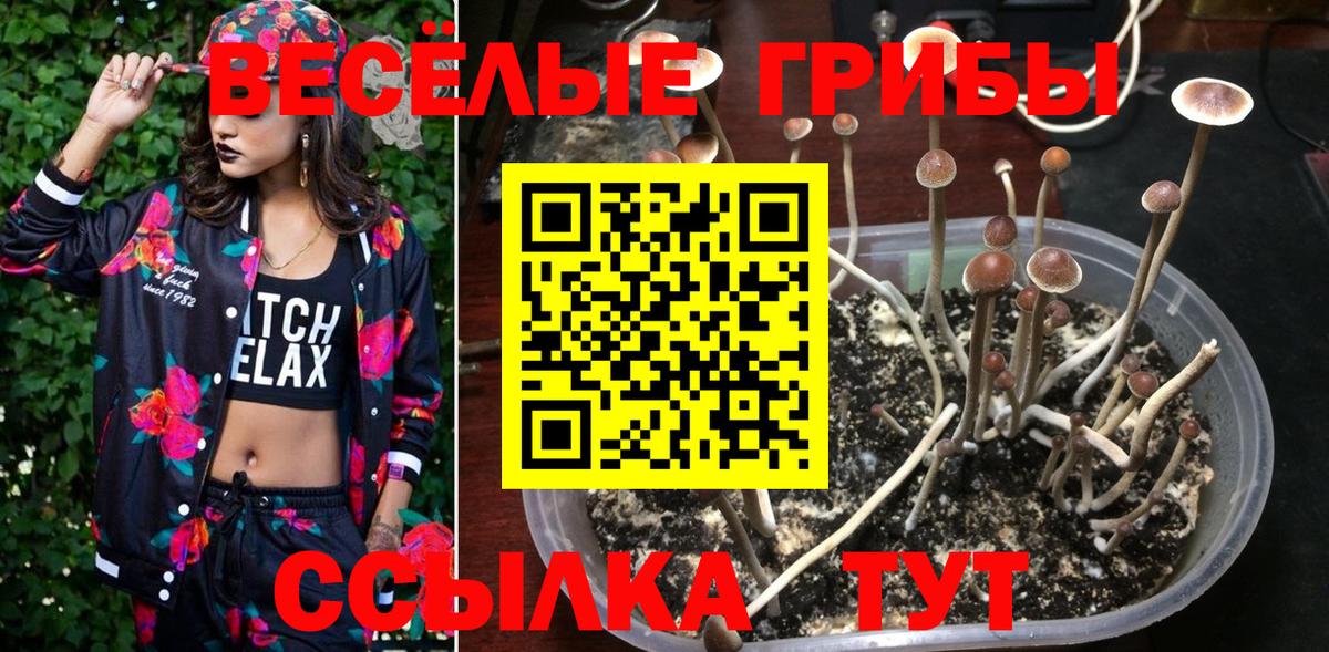Богданович  Вход с VPN  Меф   COCAIN  Гашиш  Гашиш  Каннабис 