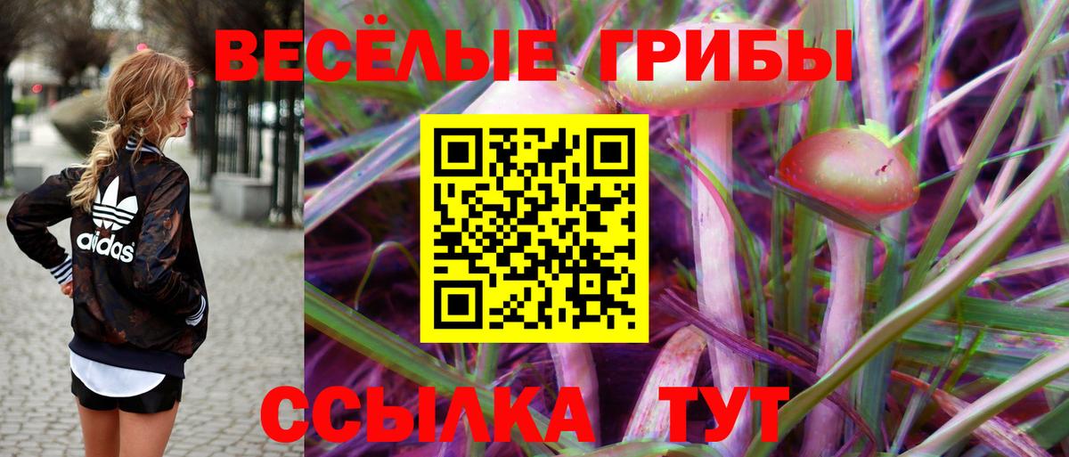 Галлюциногенные грибы Cubensis  Псилоцибиновые грибы мухоморы  Вход с VPN  Богданович 